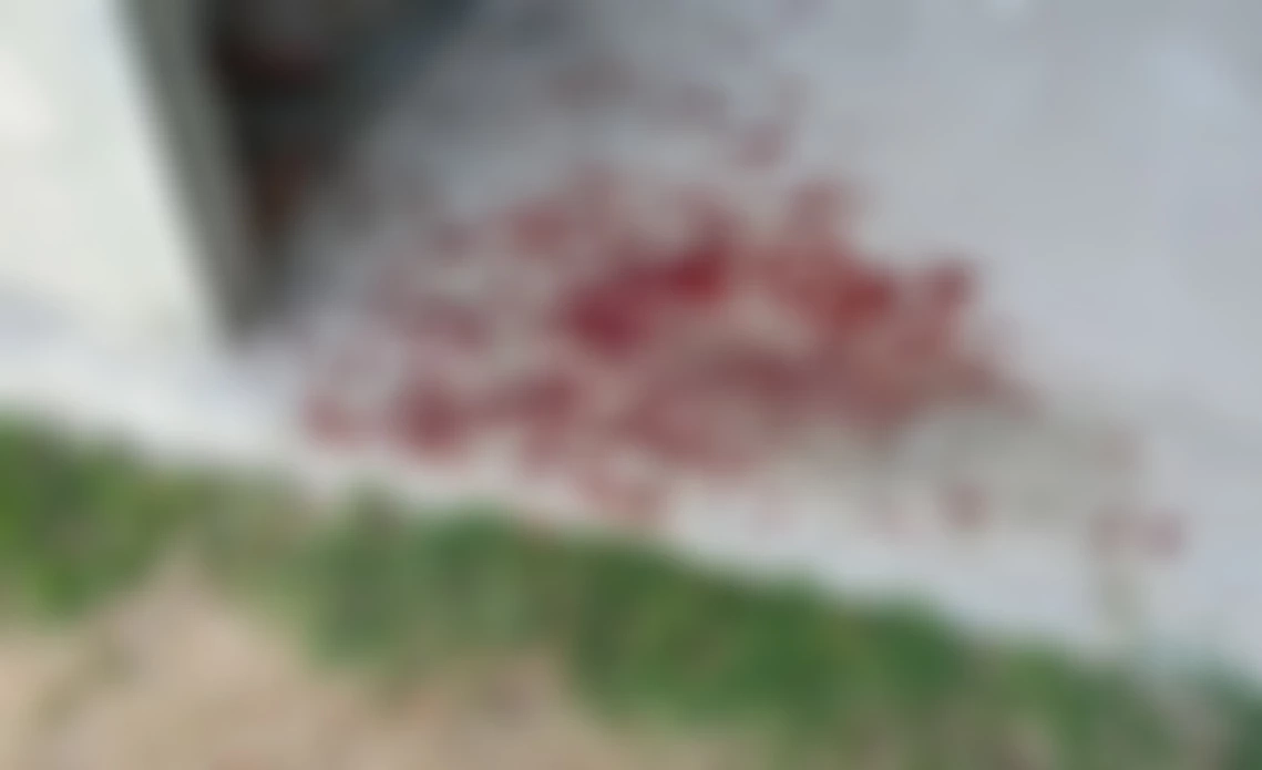 เจ็บทั้งคู่! หนุ่มตามง้อแฟน เจออยู่กับชายใหม่ คว้าลูกซองยิง แต่ถูกยิงสวน