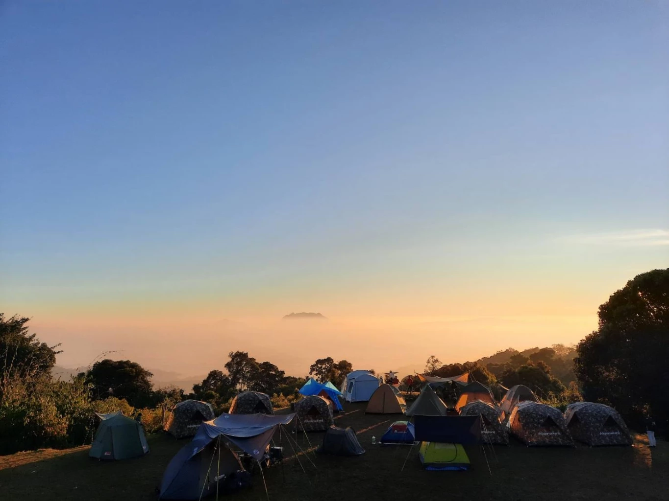 นักท่องเที่ยวแห่ขึ้นดอย ชมแสงแรกวันใหม่ เหมยขาบ ทะเลหมอก (คลิป)