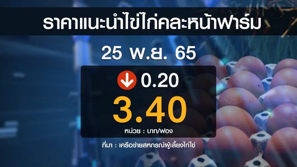 สำรวจราคา 'ไข่ไก่' หลังลดราคารวดเดียว 6 บาท/แผง