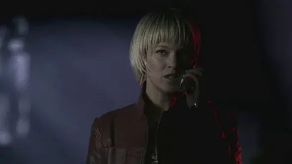 Nicki Aycox