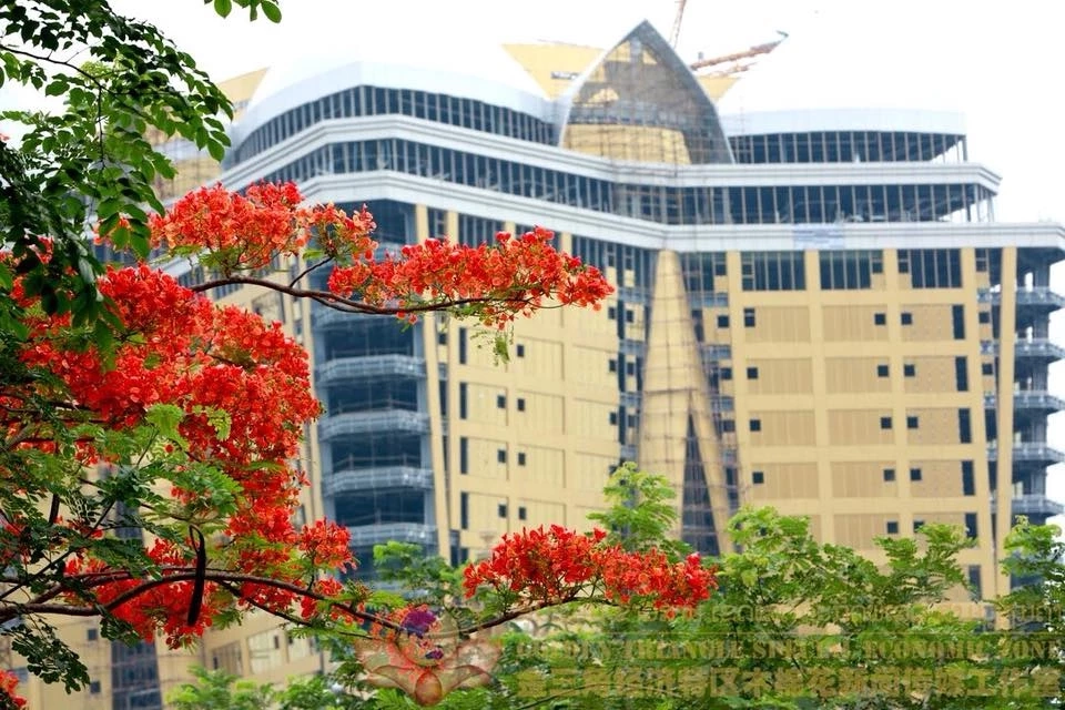 คิงส์โรมัน อาณาจักรหมื่นล้าน ของ &quot;จ้าวเหว่ย&quot; ผู้คุมอิทธิพลเขตสามเหลี่ยมทองคำ 