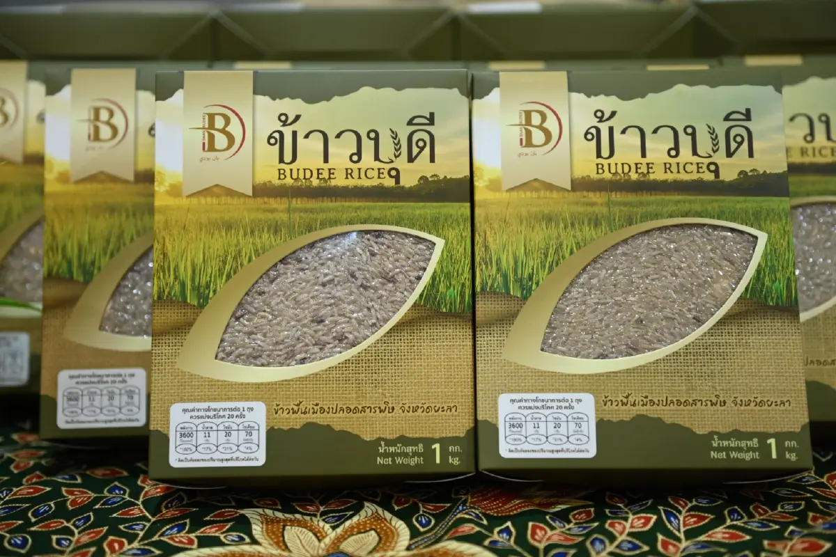 ”จุรินทร์” จัดอบรม “อี-คอมเมิร์ซ” ติดปีกแม่ค้าออนไลน์