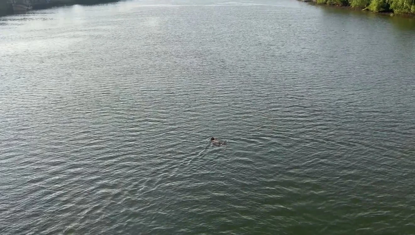 หนุ่มวัย 19 ปี เครียดกระโดดน้ำหวังจบชีวิต สุดท้ายรอดเพราะว่ายน้ำเป็น