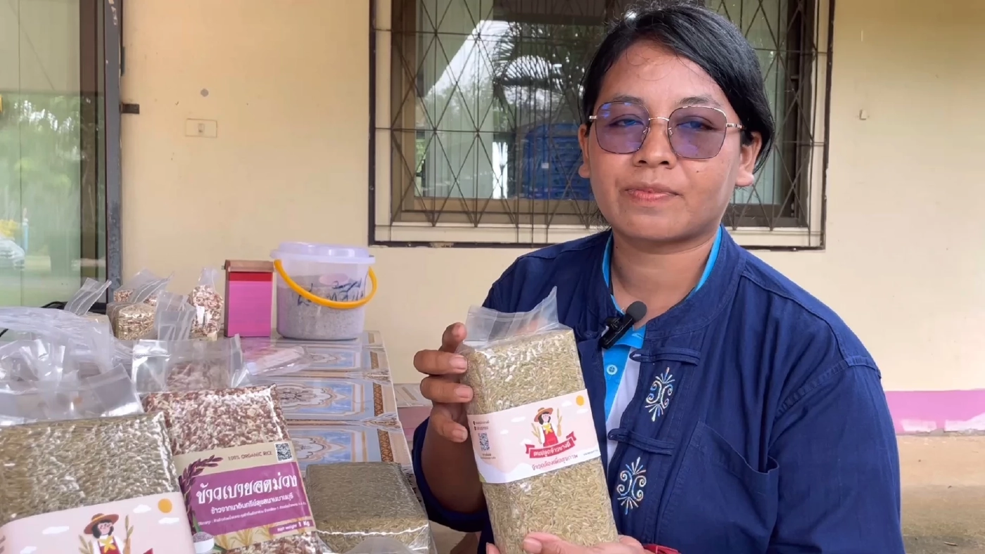 แปรรูป “ข้าวระยะเม่า” แก้ปัญหาศัตรูพืช สร้างมูลค่าเพิ่ม 3 เท่า