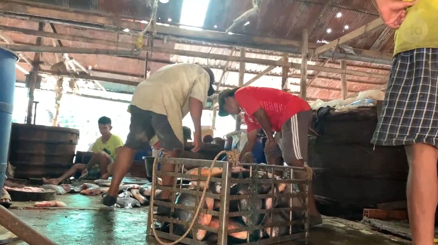 ภาพ : Radio Free Asia