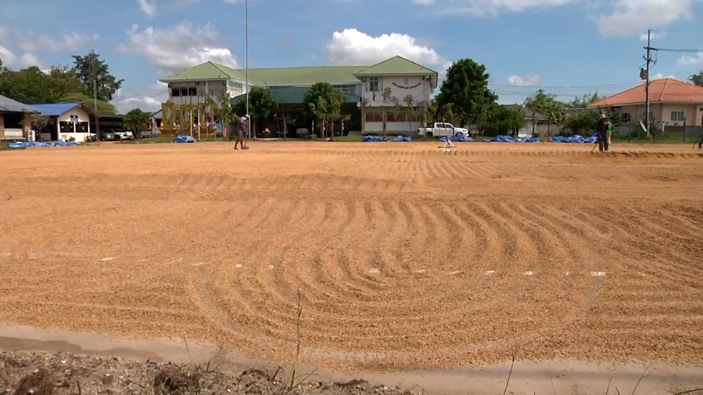 บรรเทาทุกข์ชาวบ้าน เปิดสนามกีฬาให้ตากข้าวฟรี