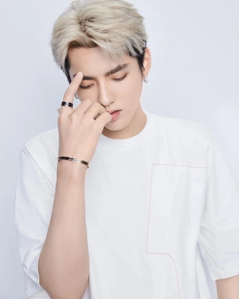 คดีสนั่นโลก จำคุกก่อนเนรเทศ &quot;คริส วู&quot; ศิลปินดัง หลังล่วงละเมิดทางเพศ