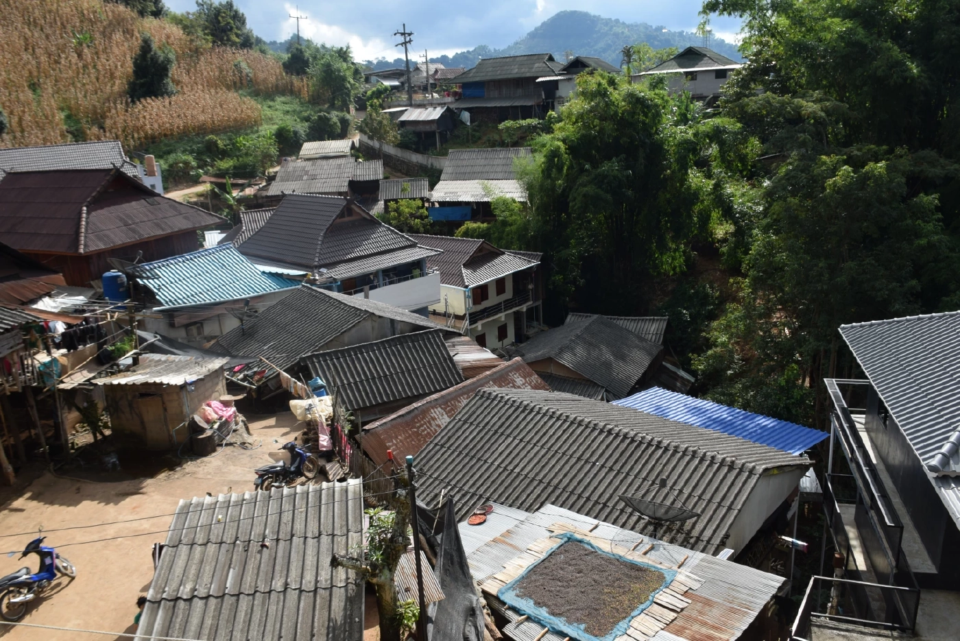 จนท.ระดมตามหาเด็กพิเศษ วัย 2 ขวบ หายจากบ้านดอยช้าง ยังไม่ทราบชะตากรรม