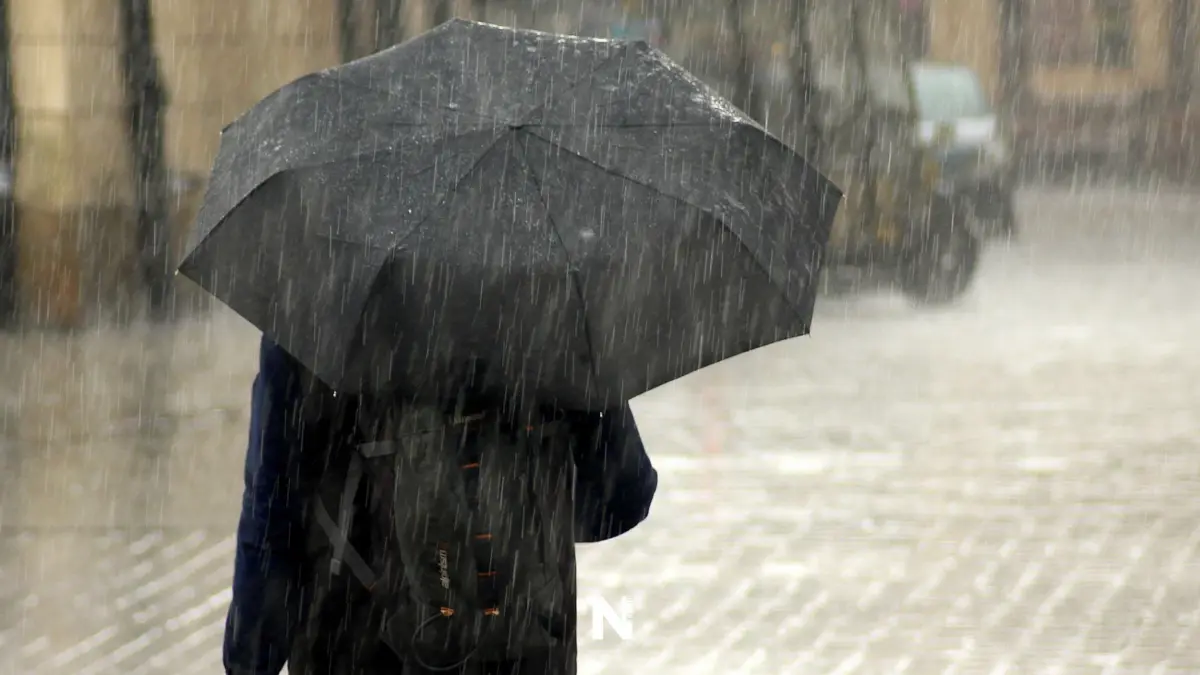 วันนี้มีฝนตกหนัก อย่าลืมพกร่ม