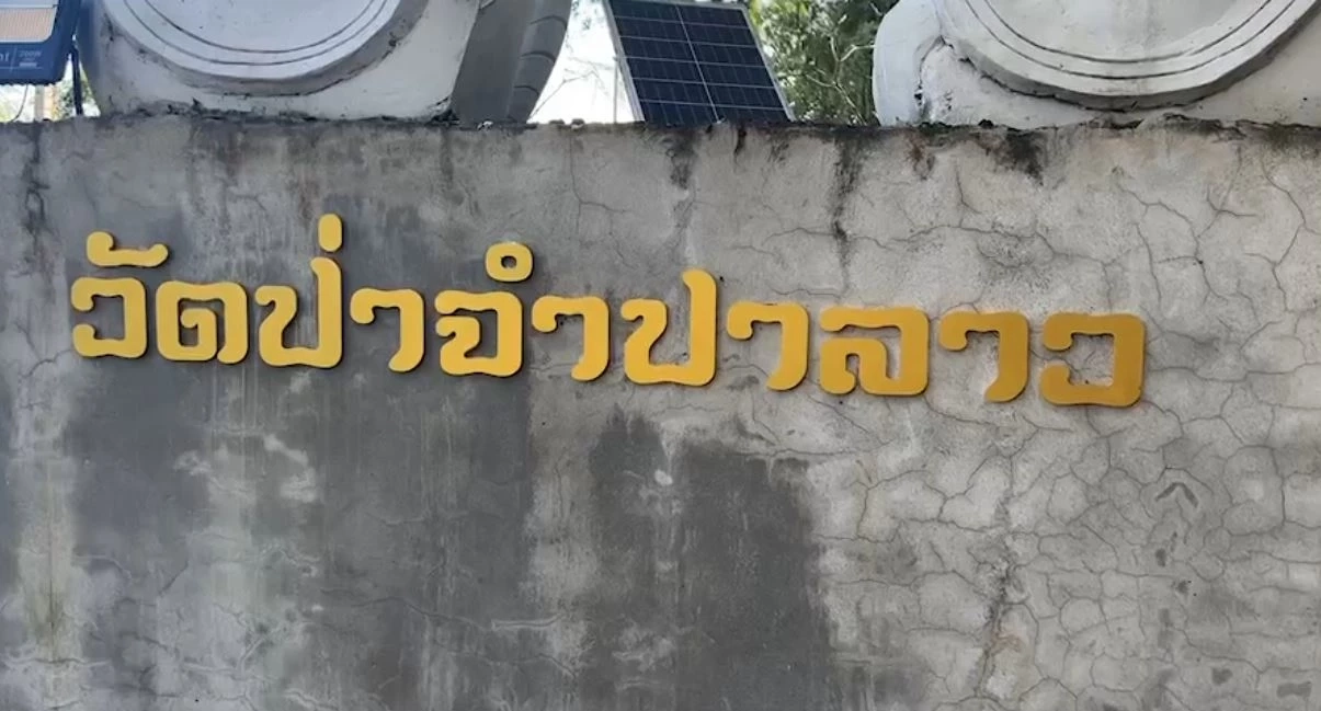 วัดป่าจำปาลาว