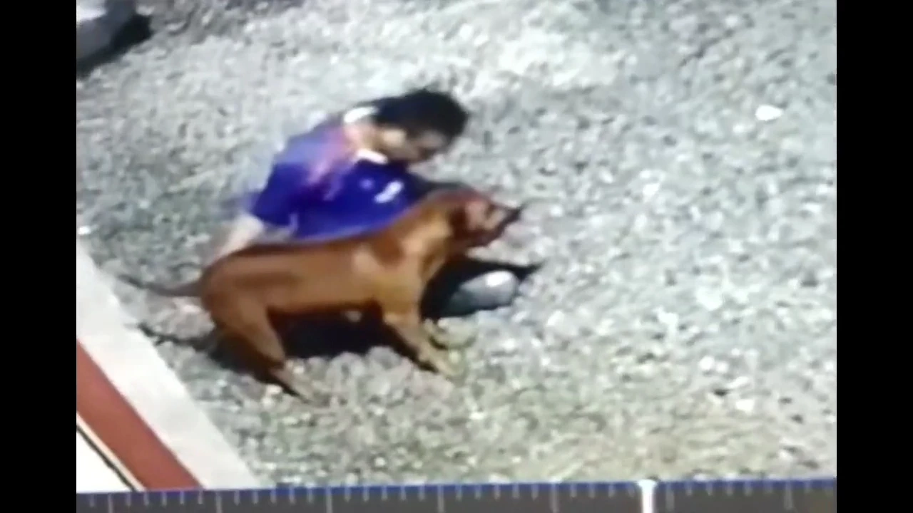 สุดทน! ชาวบ้าน แจ้งจับ หนุ่มเมา ทำอนาจารสุนัข