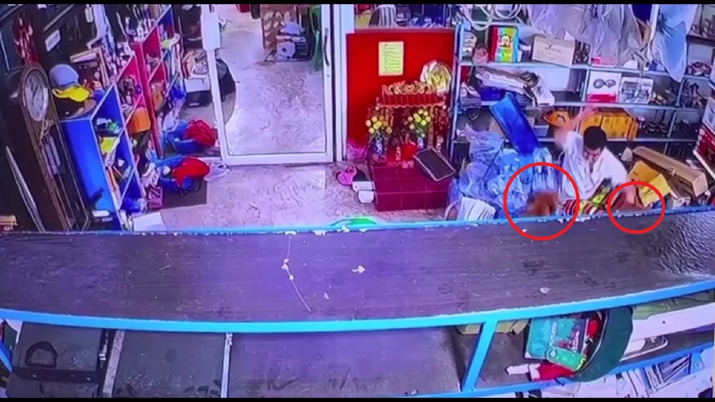 ผวา! สุนัขพิตบูล 2 ตัว หลุดมุดรั้วเข้าไปรุมขย้ำหนุ่ม 17 ปีถึงในบ้าน (คลิป)