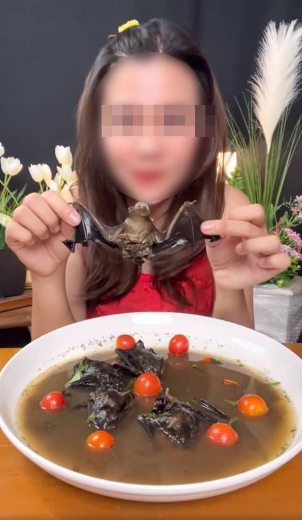 ครูสาว โชว์กินค้างคาว โดนอีกคดี ล่าสัตว์ป่าคุ้มครอง