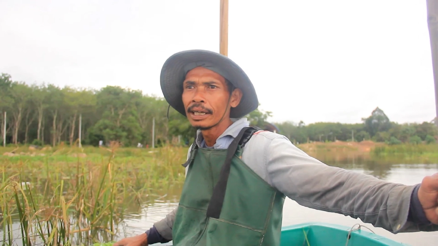 ชายชาวสงขลาเลี้ยง “ควายเผือก” 40 ตัว เพื่ออนุรักษ์ไว้ให้ลูกหลานรุ่นต่อไป