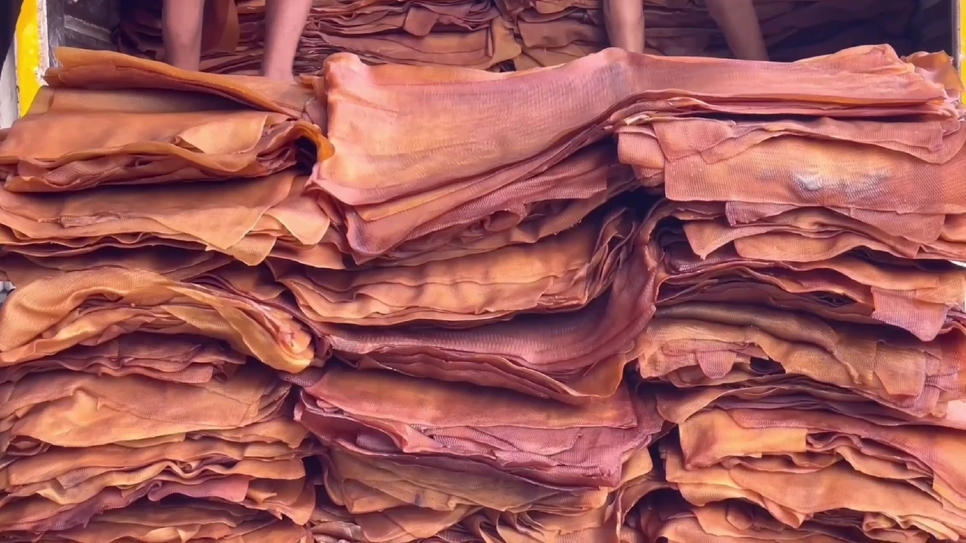 เครือข่ายชาวสวนยาง จ่อปลุกม็อบเรียกร้องรัฐแก้ปัญหาราคายางตกต่ำ