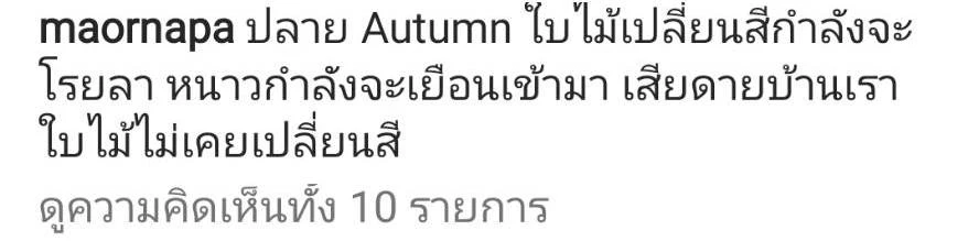 "ม้า อรนภา" โดนชาวเน็ตจับโยง คาดเดาเป็นมือตบ ฟาดสนั่นกลางเกาหลี