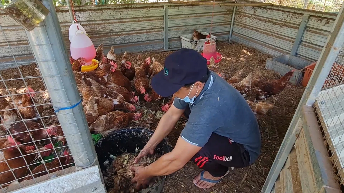 พระพายเรือเก็บซาก “กระทง” มอบโยมทำปุ๋ยเลี้ยงไก่ลดขยะ รักษาสิ่งแวดล้อม