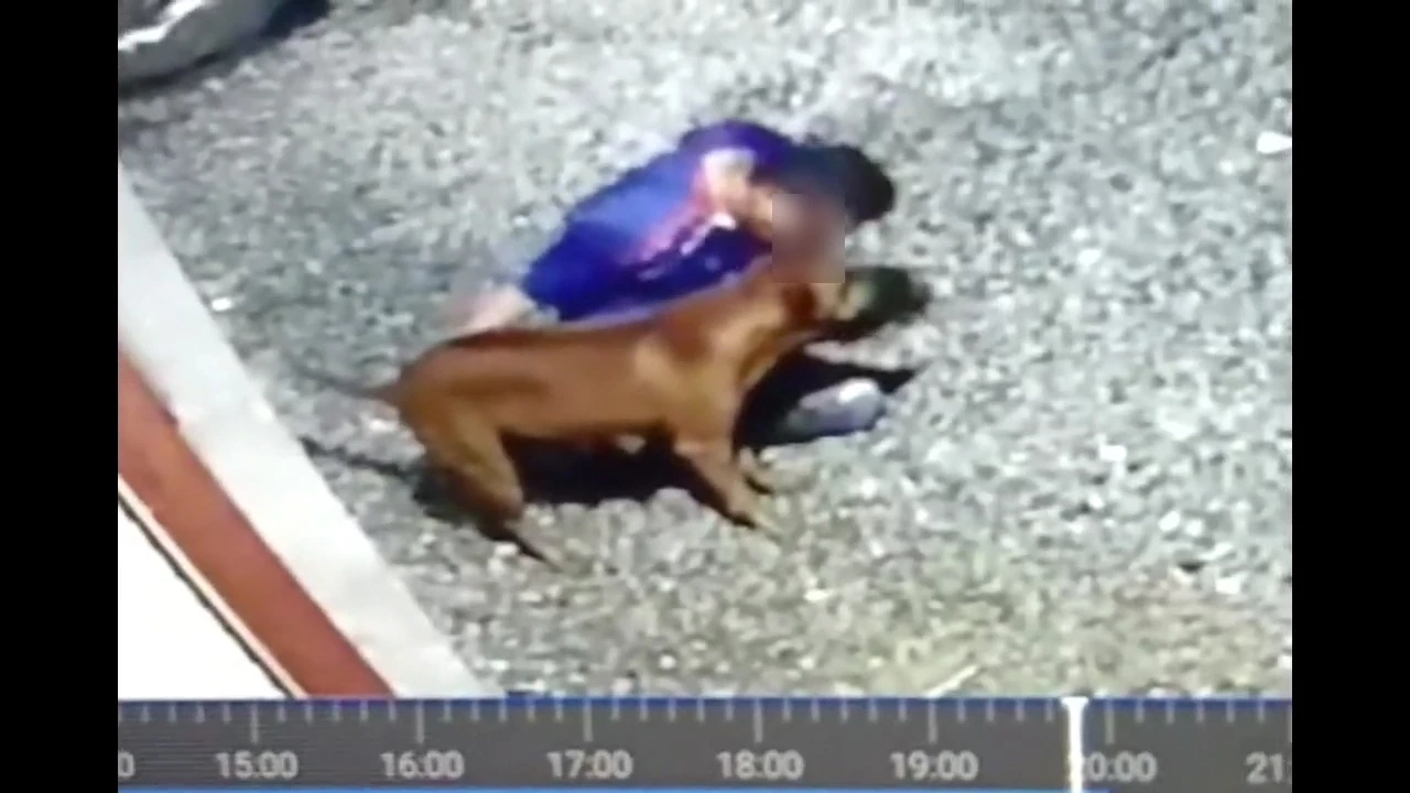 สุดทน! ชาวบ้าน แจ้งจับ หนุ่มเมา ทำอนาจารสุนัข