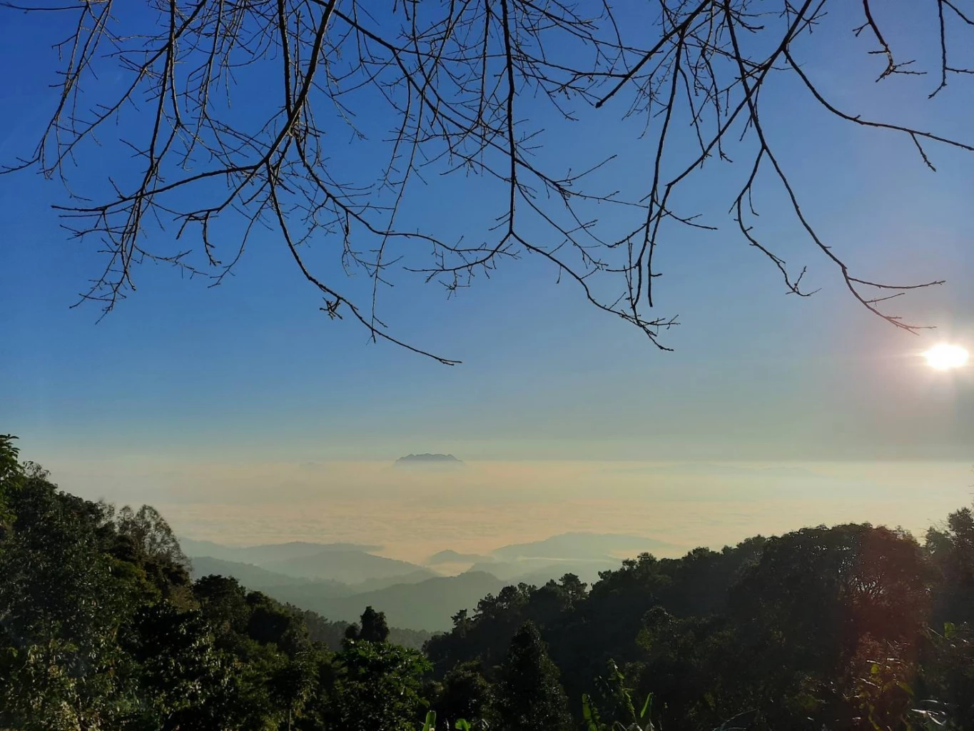 นักท่องเที่ยวแห่ขึ้นดอย ชมแสงแรกวันใหม่ เหมยขาบ ทะเลหมอก (คลิป)