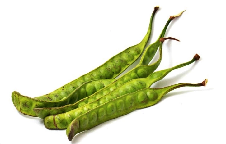 "สะตอ" เม็ดมัน กลิ่นฉุน คุณประโยชน์เพียบ