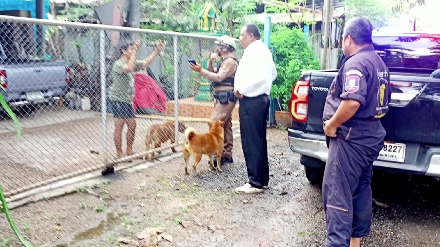 ผวา! สุนัขพิตบูล 2 ตัว หลุดมุดรั้วเข้าไปรุมขย้ำหนุ่ม 17 ปีถึงในบ้าน (คลิป)