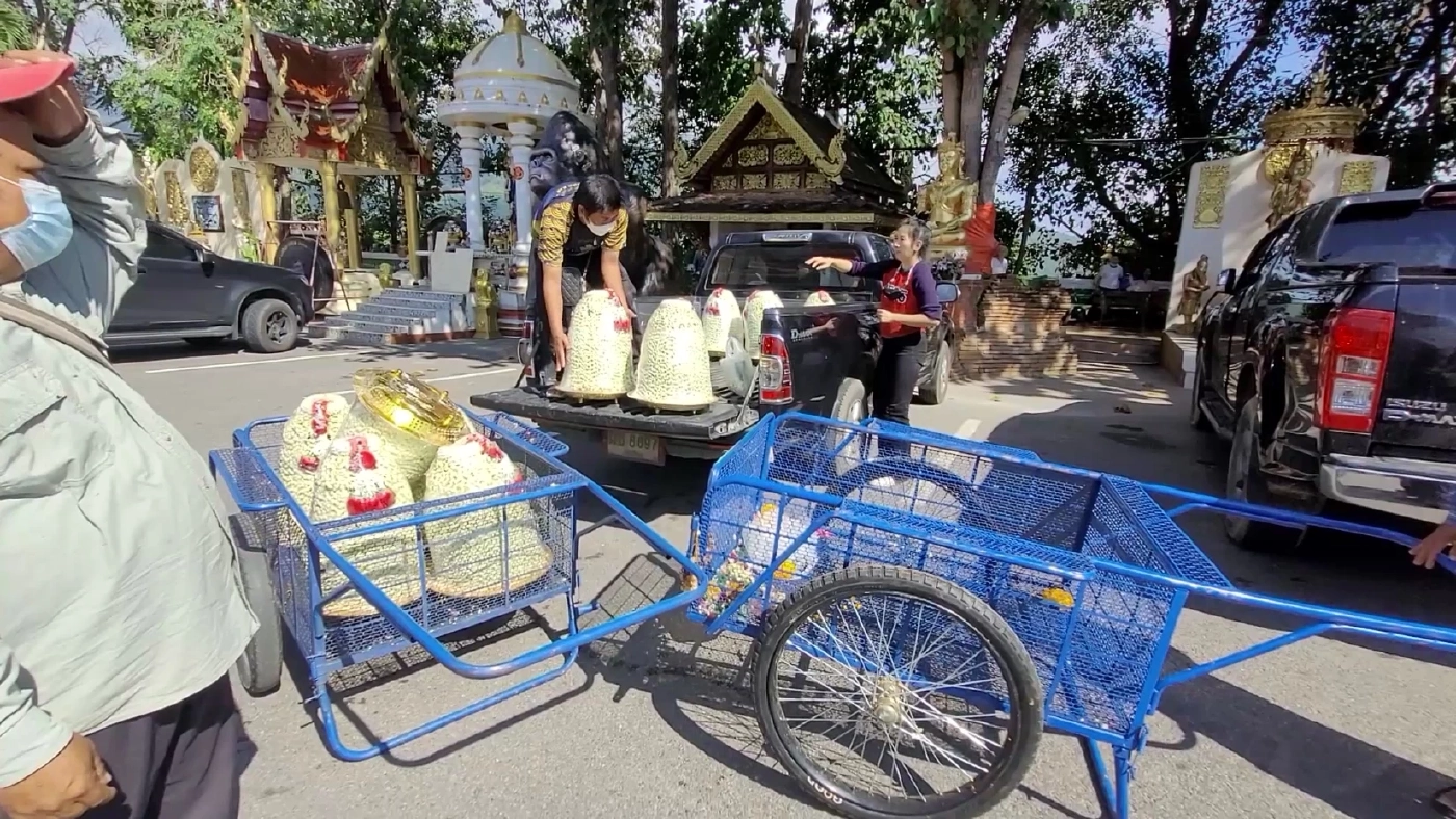 เจ้าหน้าที่วัด "พระธาตุดอยคำ" ใช้เวลาขนพวงมาลัยดอกมะลิ มูลค่า 3.4 ล้านบาท ถึงครึ่งวัน