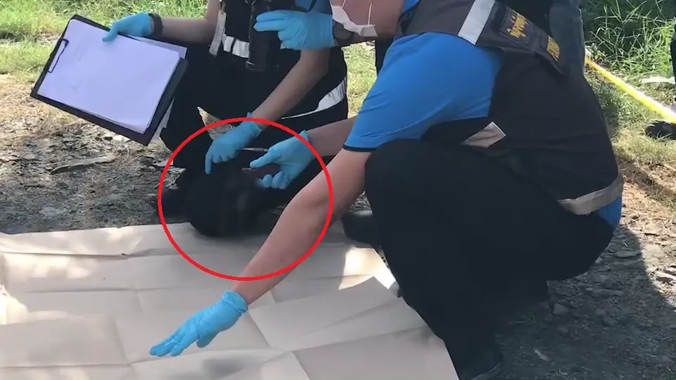 อาวุธปืนที่ใช้ก่อเหตุ