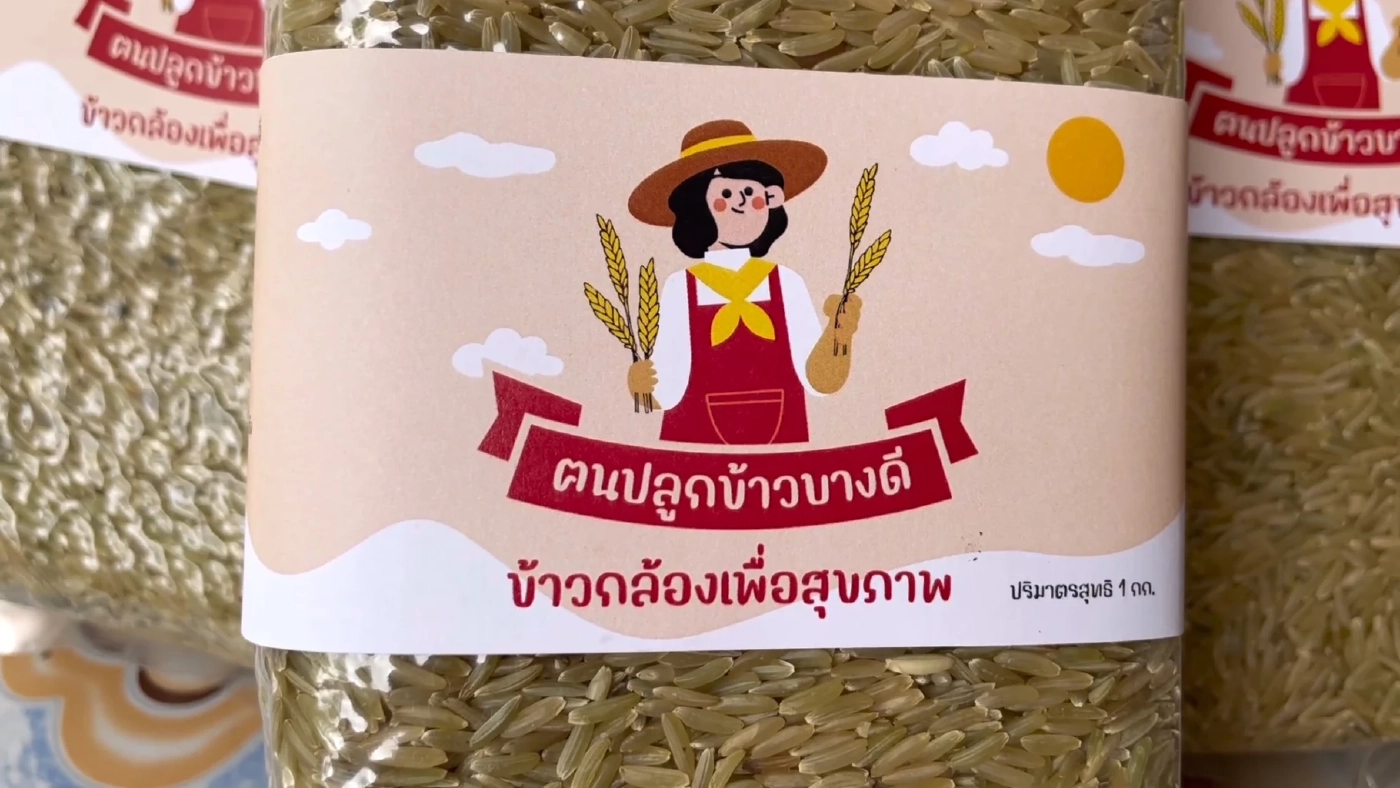 แปรรูป “ข้าวระยะเม่า” แก้ปัญหาศัตรูพืช สร้างมูลค่าเพิ่ม 3 เท่า