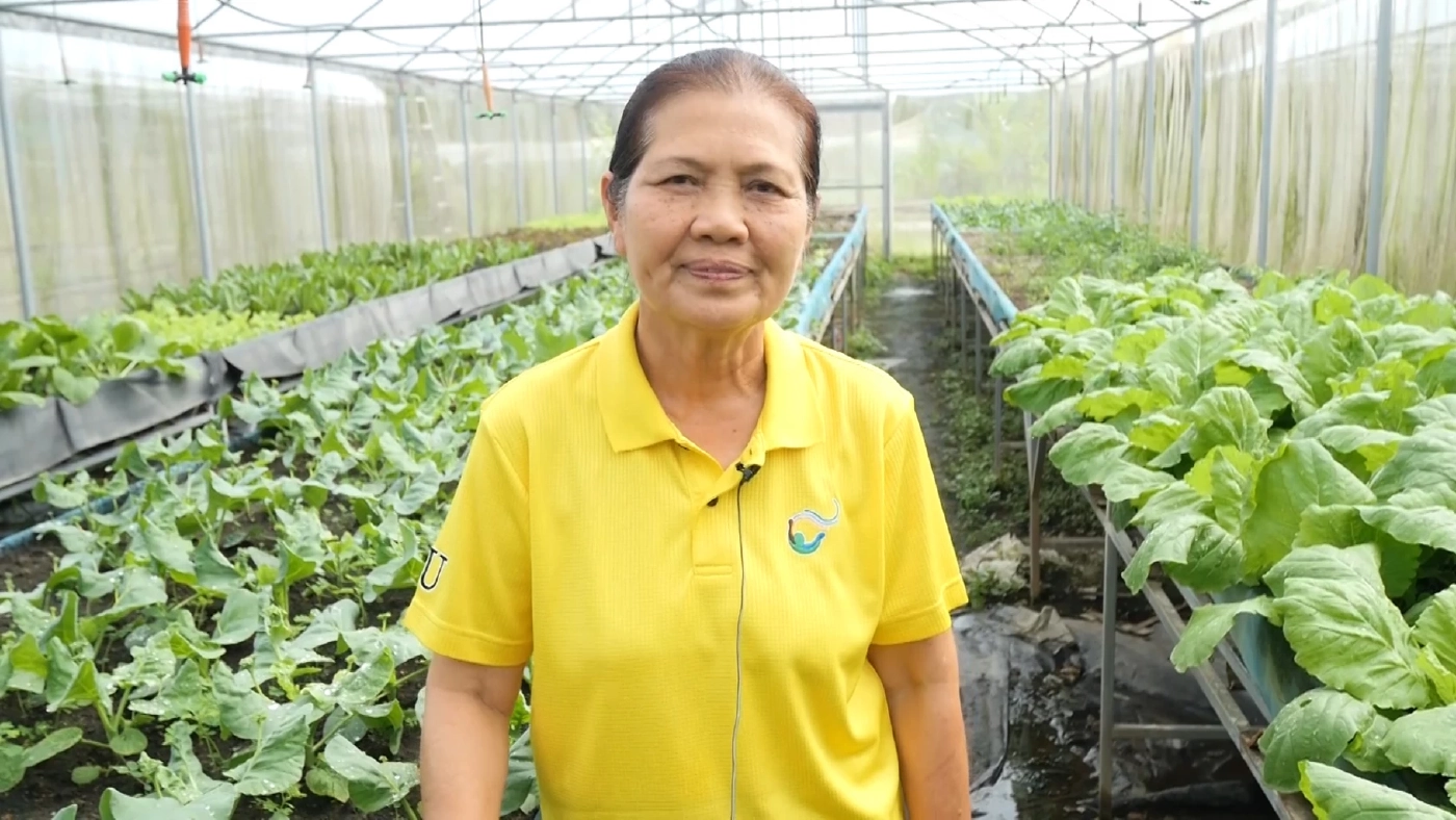 เพื่อสุขภาพผู้บริโภค เกษตรกรชาวตรังปลูกผักออแกนิกรายได้งาม