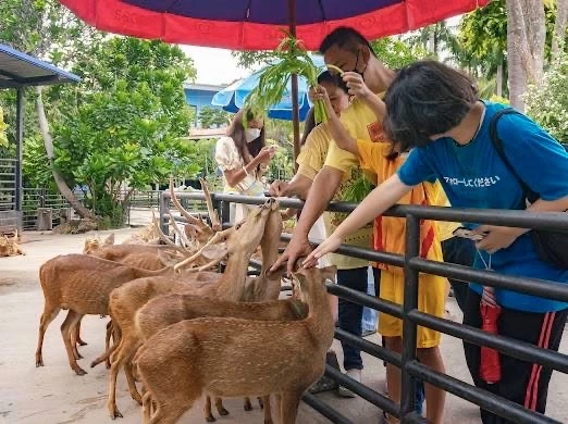 ต้อนรับวันหยุดเดือนธันวาคม "สวนนงนุชพัทยา" ขยายโปรโมชั่นตอนรับวันหยุดยาวและส่งท้ายปี