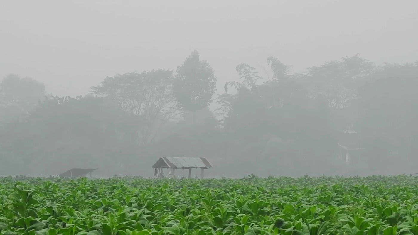 แม่สาย จ.เชียงราย อากาศหนาวหมอกหนา กระทบการสัญจรบนท้องถนน