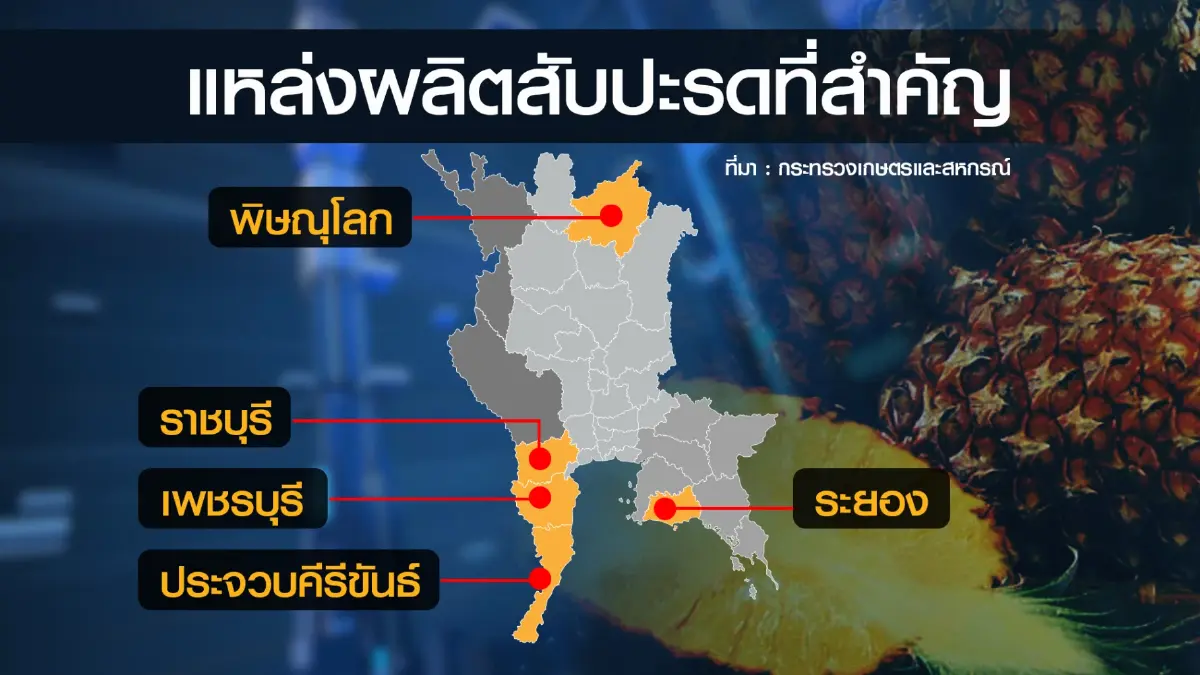 เกษตรฯ ดัน 'ประจวบฯ' มหานครสับปะรดของโลก