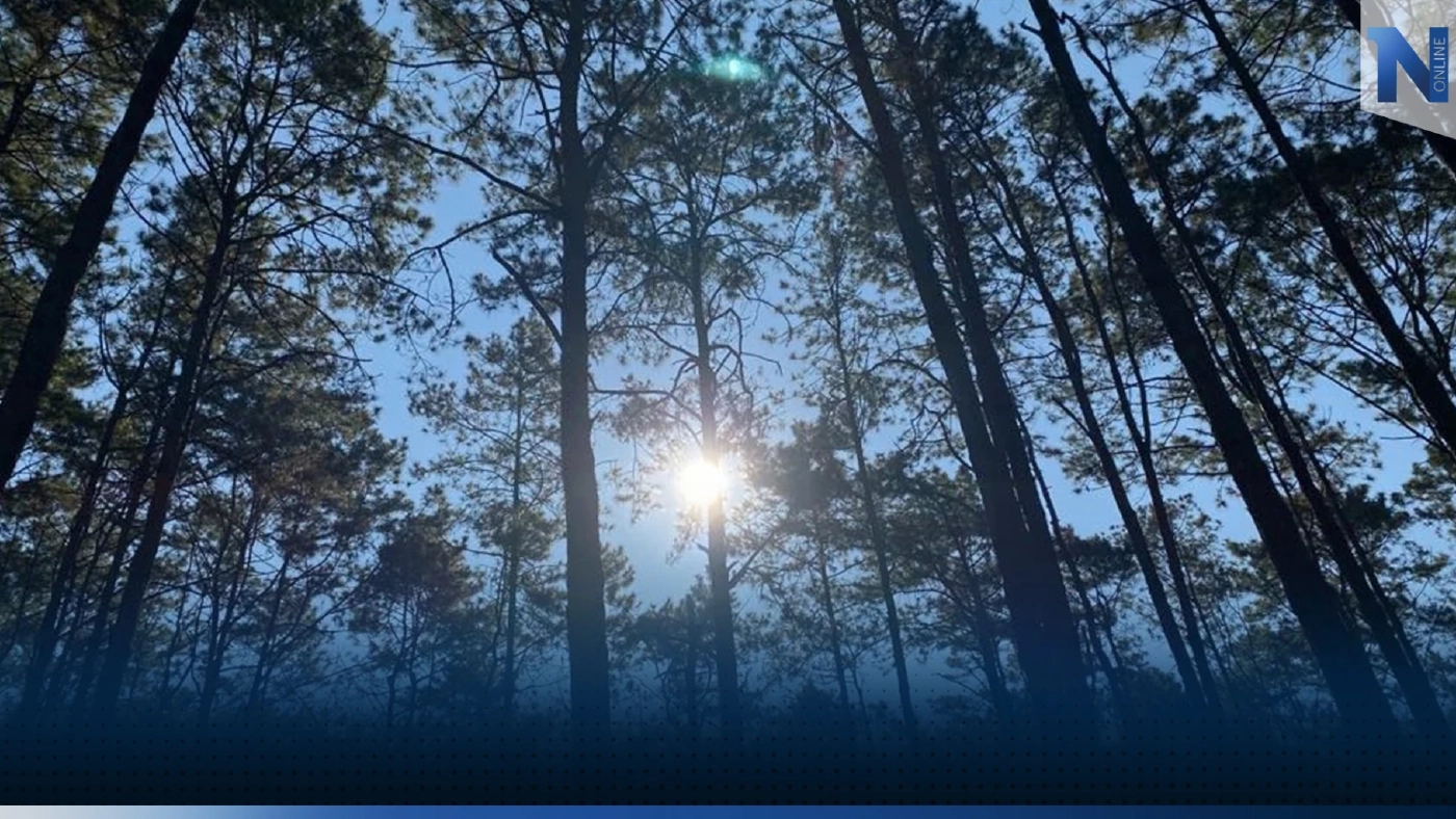 กรมอุตุฯ เตือน17- 19 ธ.ค.นี้ ภาคใต้ตอนล่างมีฝนตกหนักถึงหนักมาก