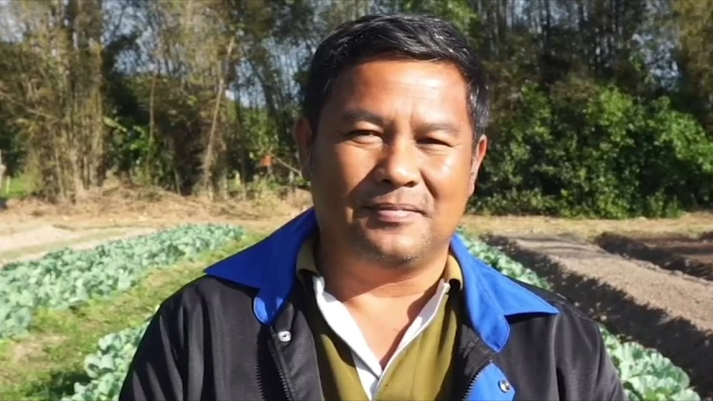 สวนผักเกษตรอินทรีย์ผลผลิตดี ซื้อง่าย-ขายคล่อง