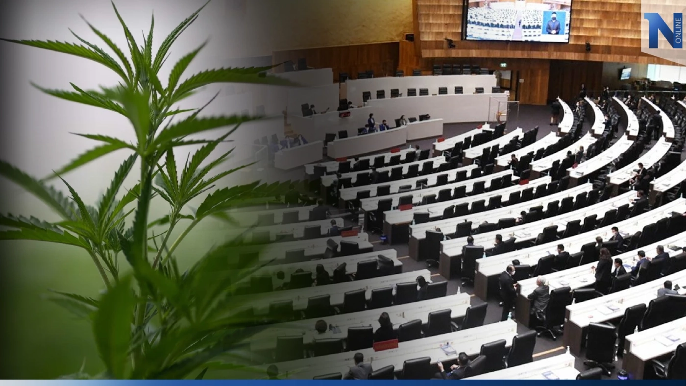 สุดยื้อ "สภาฯ"ถก"ร่างกม.กัญชา" สั่งเลื่อนลงมติตัดมาตรา 3 ออกไปครั้งหน้า