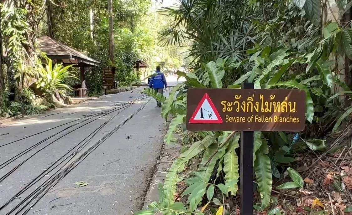 สลด! เสาไฟใน อช.น้ำตกพลิ้ว ล้มทับนักท่องเที่ยวเสียชีวิต