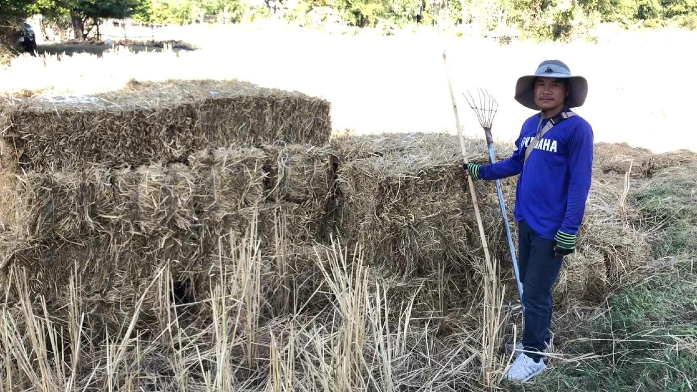 ไอเดียรักษ์โลก ชาวนาอัดฟางก้อนแทนการเผาลด PM2.5