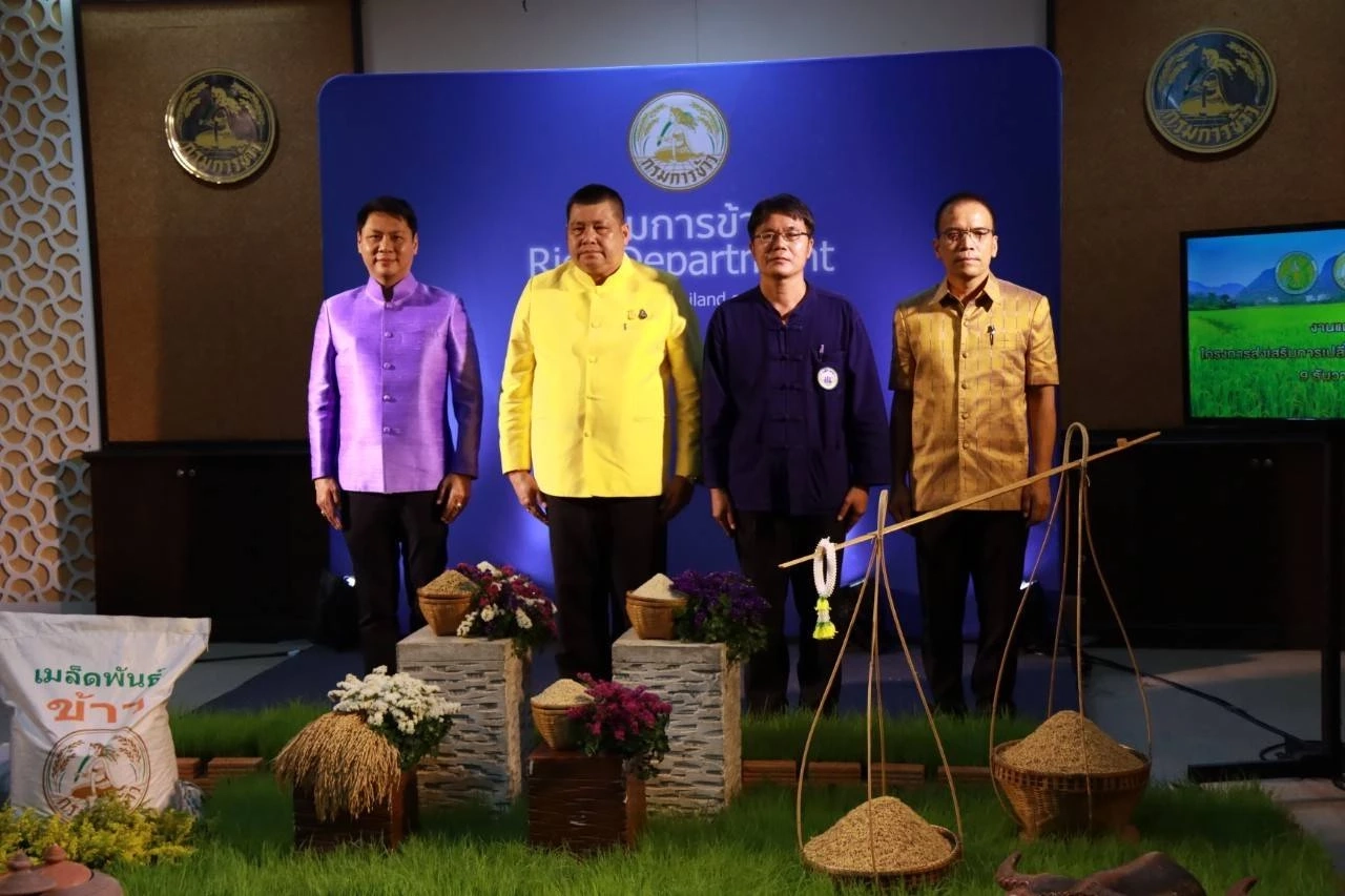 "กรมการข้าว" เร่ง ชาวนา เปลี่ยนใช้เมล็ดพันธุ์ข้าว คุณภาพดี แข่งตลาดโลก