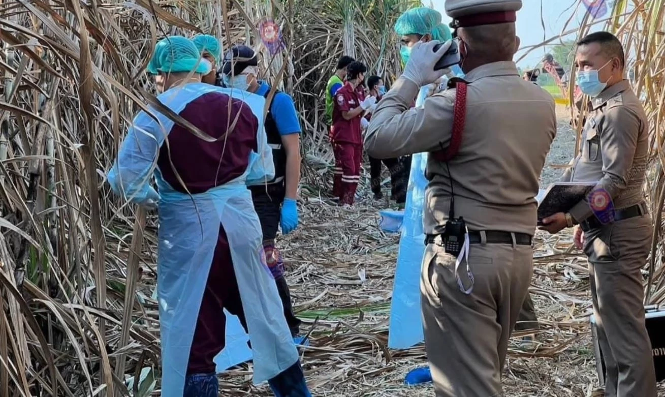 สยอง! สาวใหญ่ถูกฆ่าเปลือยยัดกระสอบ ทิ้งศพกลางไร่อ้อย