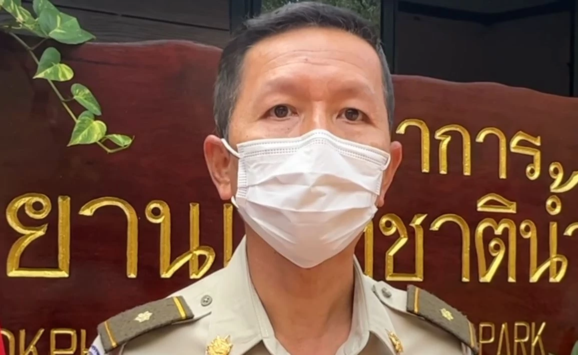 สลด! เสาไฟใน อช.น้ำตกพลิ้ว ล้มทับนักท่องเที่ยวเสียชีวิต