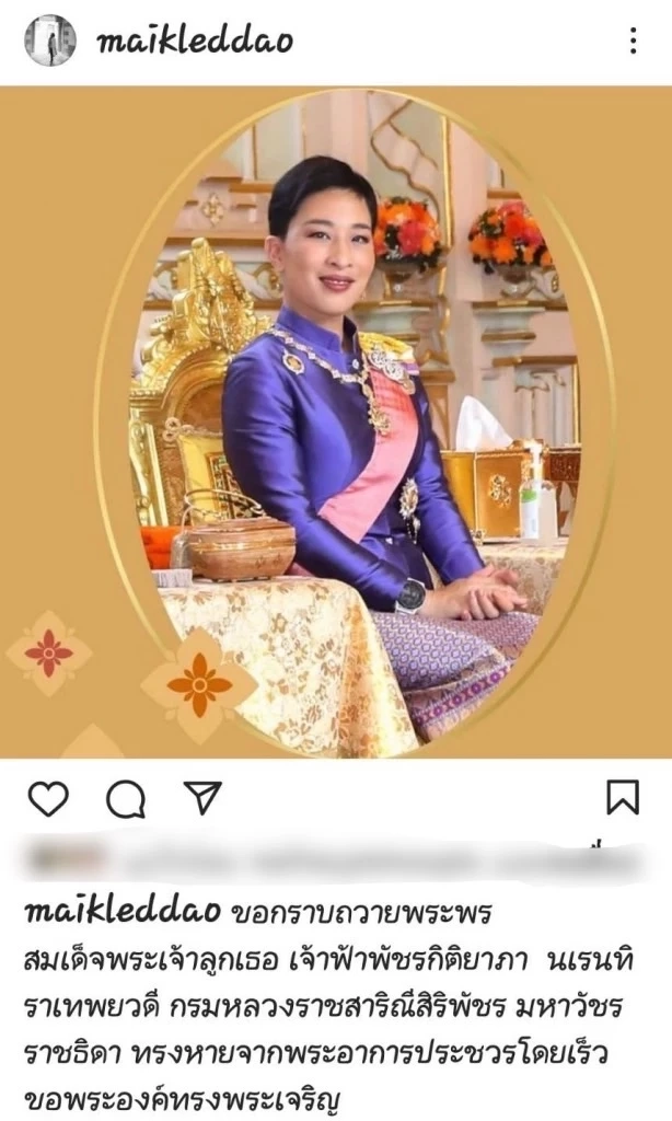 เหล่าเซเลบร่วมใจถวายพระพร "เจ้าฟ้าพัชรกิติยาภาฯ" ทรงหายประชวรในเร็ววัน
