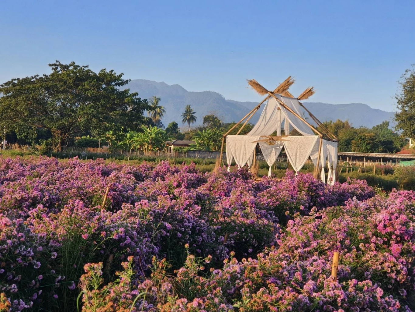 สวนลุงรน