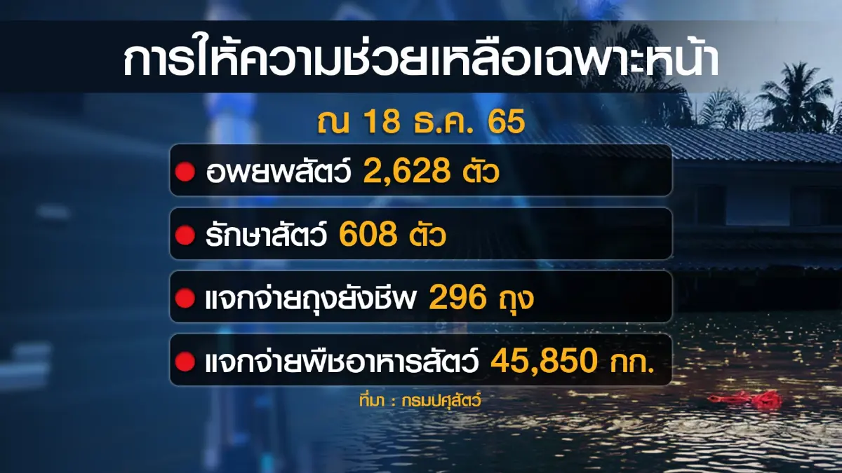 เกษตรฯ เร่งช่วยเกษตรกรผู้เลี้ยงสัตว์ในพื้นที่น้ำท่วม