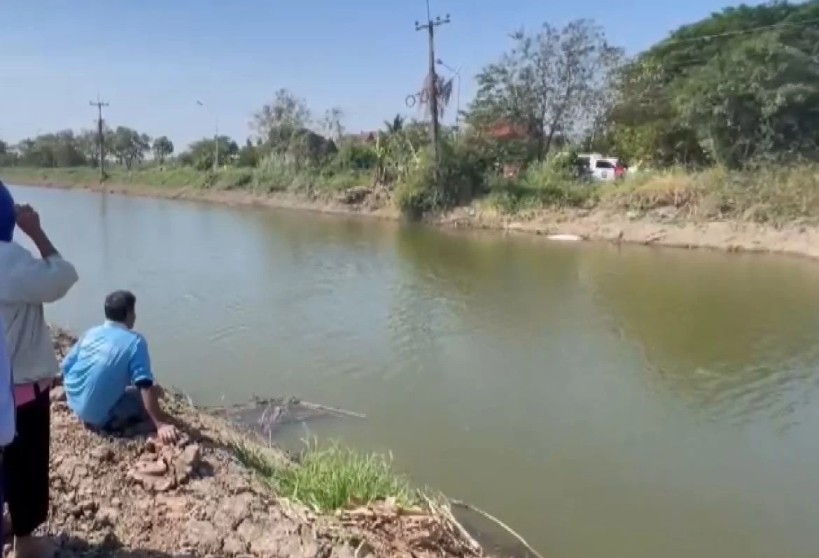 สลด 2 สุนัขนั่งเฝ้าศพเจ้านายริมคลอง หลังจมน้ำดับ