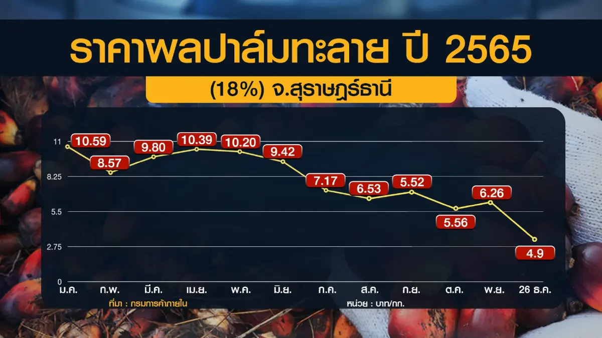 ไอ้โม่งทุบราคา 'ปาล์ม' เหลือกิโลกรัมละ 4 บาท