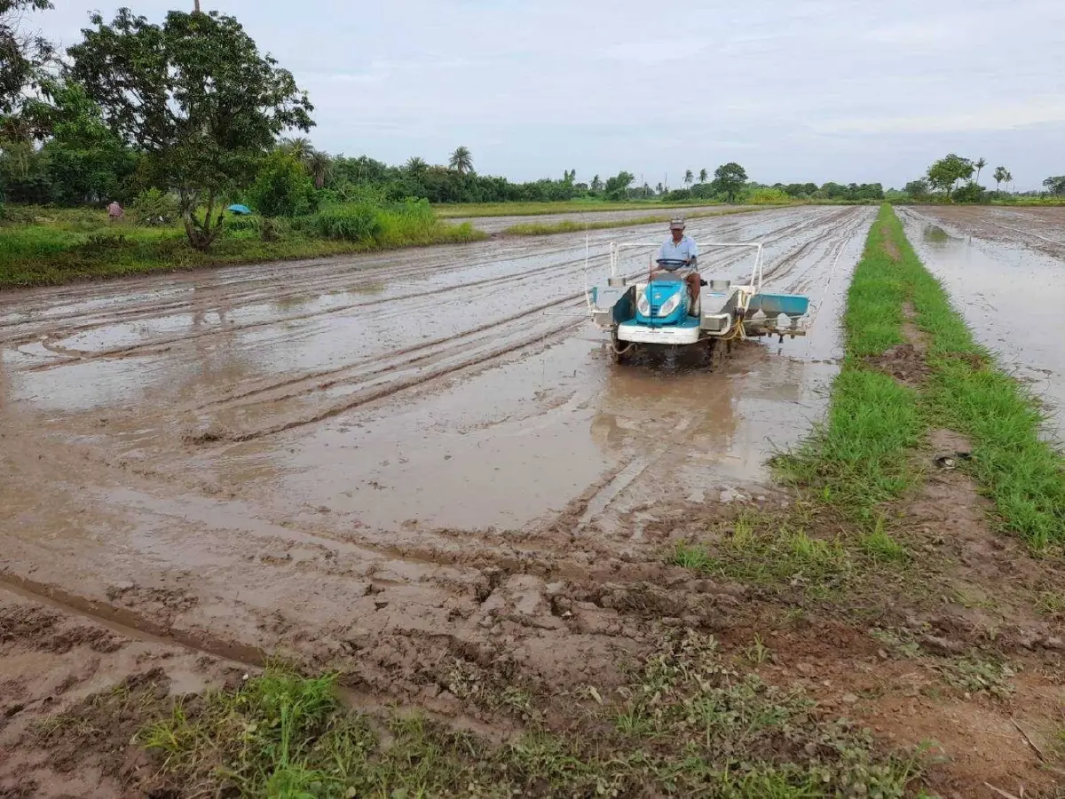 กรมการข้าว ส่งเสริม Smart Farmer พัฒนาชาวนาสู่ต้นแบบเกษตรกรปราดเปรื่อง