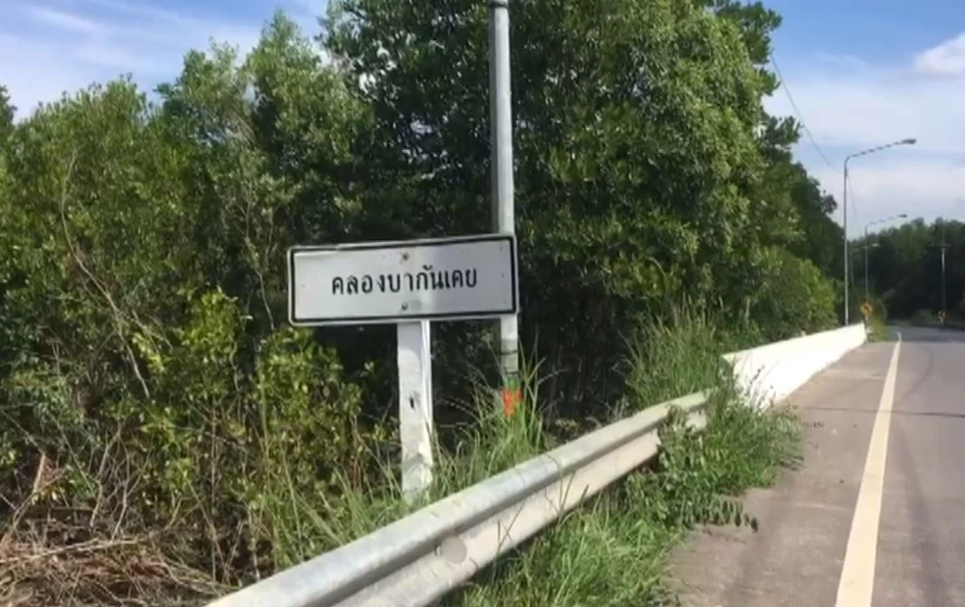 สลด! หัวหน้ากองสาธารณสุข ทต.ฉลุง เครียดปัญหาส่วนตัว ผูกคอดับกลางป่าโกงกาง