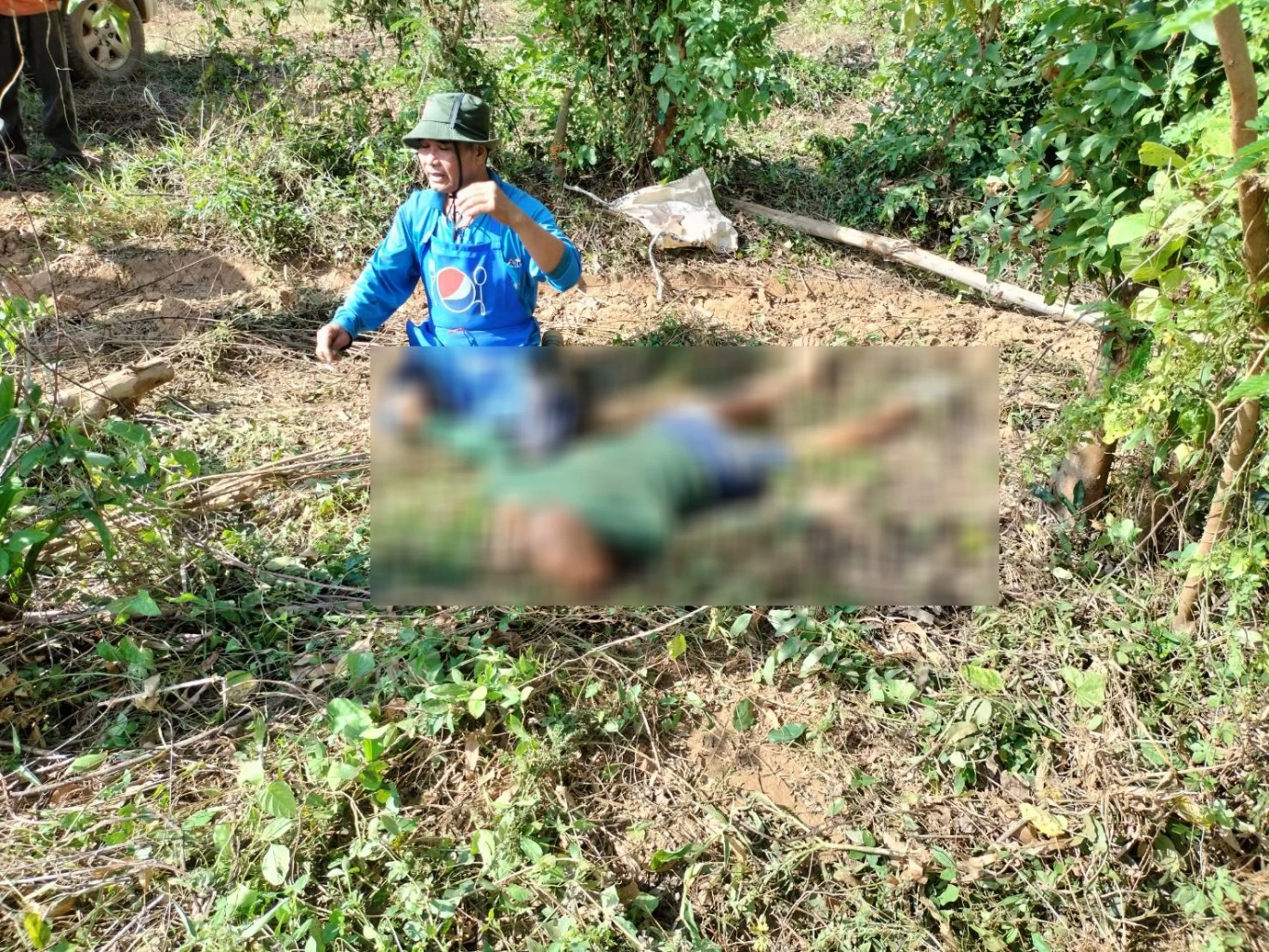 ชาวบ้านผวา! ช้างป่าเขาอ่างฤาไน ทำร้ายตาย-เจ็บ ต่อเนื่อง