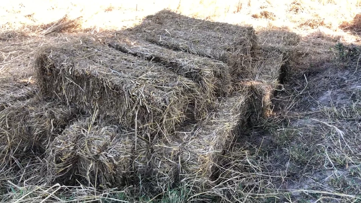 ไอเดียรักษ์โลก ชาวนาอัดฟางก้อนแทนการเผาลด PM2.5