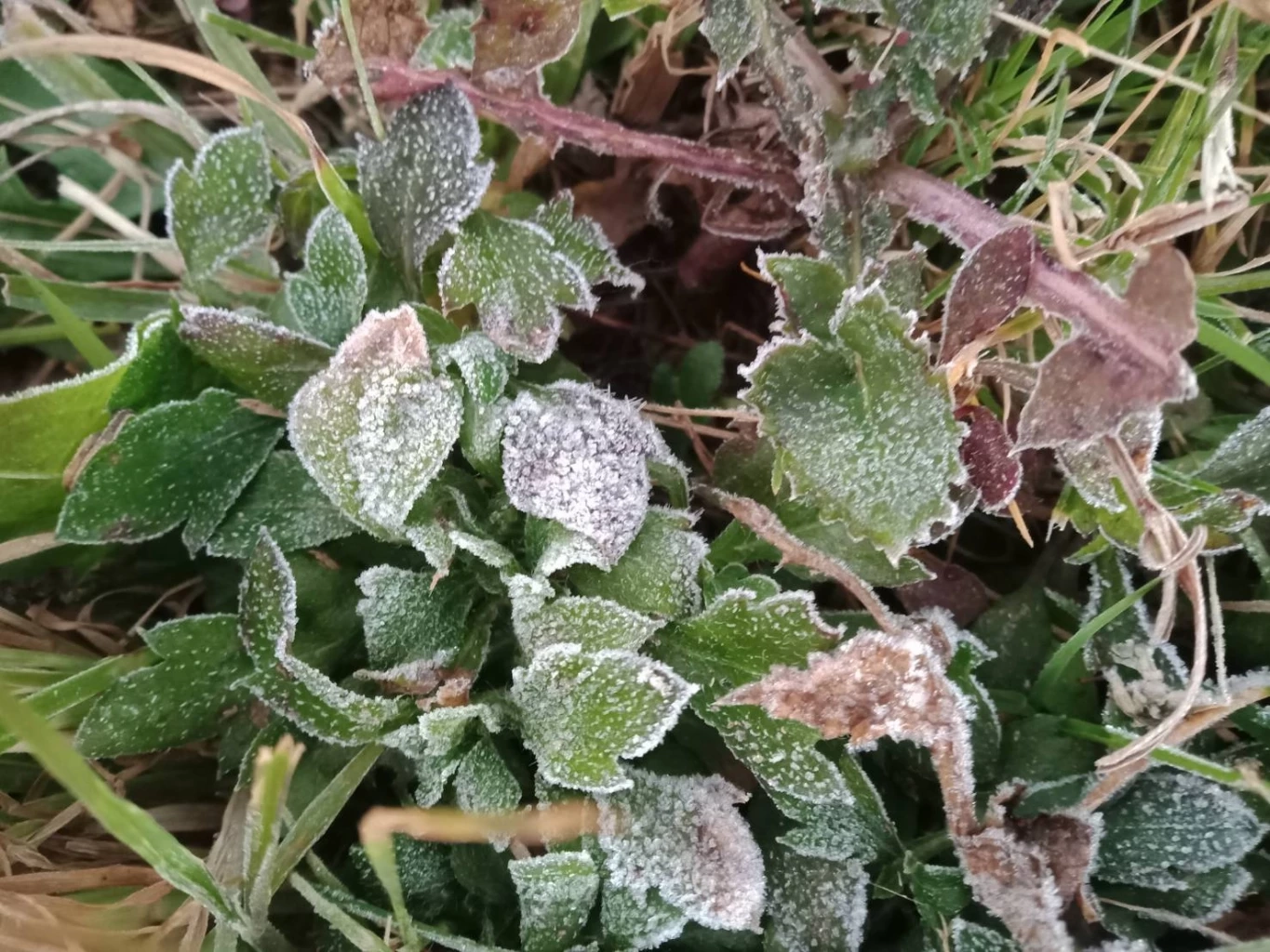 ลมหนาวมาอีกแล้ว "กรมอุตุฯ"แจ้งอุณหภูมิลด 1-2 องศา มีลมแรง ภาคใต้มีฝนหนัก